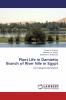 Plant Life in Damietta Branch of River Nile in Egypt