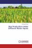 Rice Production Under Different Water Inputs