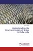 Understanding the Structural Details of Scales in Catla catla