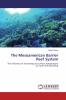 The Mesoamerican Barrier Reef System