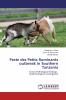 Peste des Petits Ruminants outbreak in Southern Tanzania