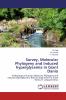 Survey Molecular Phylogeny and Induced hyperglycemia in Giant Danio