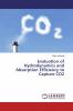 Evaluation of Hydrodynamics and Absorption Efficiency to Capture CO2