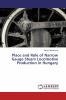 Place and Role of Narrow Gauge Steam Locomotive Production in Hungary