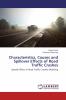 Characteristics Causes and Spillover Effects of Road Traffic Crashes