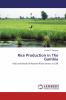 Rice Production in The Gambia