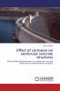 Effect of corrosion on reinforced concrete structures