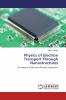 Physics of Electron Transport Through Nanostructures