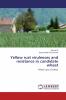 Yellow rust virulences and resistance in candidate wheat