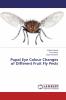 Pupal Eye Colour Changes of Different Fruit Fly Pests