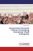 Government Financial Policies & Emerging Economies' Small Enterprises