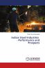 Indian Steel Industries - Performance and Prospects