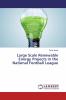 Large Scale Renewable Energy Projects in the National Football League