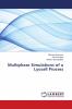 Multiphase Simulations of a Lyocell Process