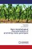 Agro-morphological characterization of promising maize genotypes