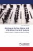 Analogue Active Noise and Vibration Control System