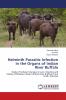 Helminth Parasitic Infection in the Organs of Indian River Buffalo