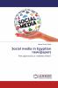 Social media in Egyptian newspapers