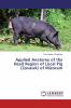 Applied Anatomy of the Head Region of Local Pig (Zovawk) of Mizoram