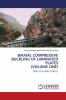 BIAXIAL COMPRESSIVE BUCKLING OF LAMINATED PLATES (VOLUME ONE)