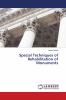 Special Techniques of Rehabilitation of Monuments