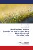 Enhancement of Rice Growth via Inoculation with Rhizobium and Rhizobacteria