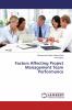 Factors Affecting Project Management Team Performance