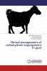 Clinical management of carbohydrate engorgement in goat