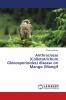 Anthracnose (Colletotrichum Gloeosporioides) disease on Mango (Mangif