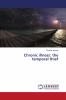 Chronic illness: the temporal thief
