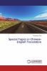 Special Topics in Chinese-English Translation