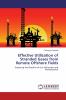 Effective Utilization of Stranded Gases from Remote Offshore Fields