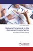 Balanced Scorecard in the Romanian Energy Sector