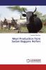 Meat Production from Sudan Baggara Heifers