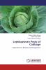 Lepidopteran Pests of Cabbage