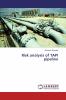 Risk analysis of TAPI pipeline