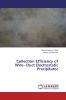 Collection Efficiency of Wire��� Duct Electrostatic Precipitator