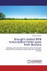 Drought related MYB transcription factor gene from Brassica