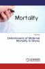 Determinants of Maternal Mortality in Ghana