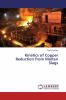 Kinetics of Copper Reduction from Molten Slags
