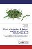 Effect of irrigation & date of sowing on salicornia (S.brachiata Rox)