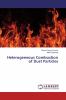 Heterogeneous Combustion of Dust Particles