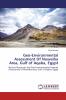 Geo-Environmental Assessment Of Nuweiba Area Gulf of Aqaba Egypt