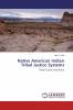 Native American Indian Tribal Justice Systems