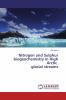 Nitrogen and Sulphur biogeochemistry in High Arctic glacial streams