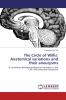 The Circle of Willis