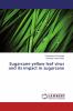 Sugarcane yellow leaf virus and its impact in sugarcane