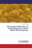 Permanent Retention of Small Molecules within Metal Microcapsules