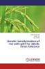 Genetic transformation of rice with gshf for abiotic stress tolerance