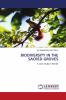 Biodiversity in the Sacred Groves